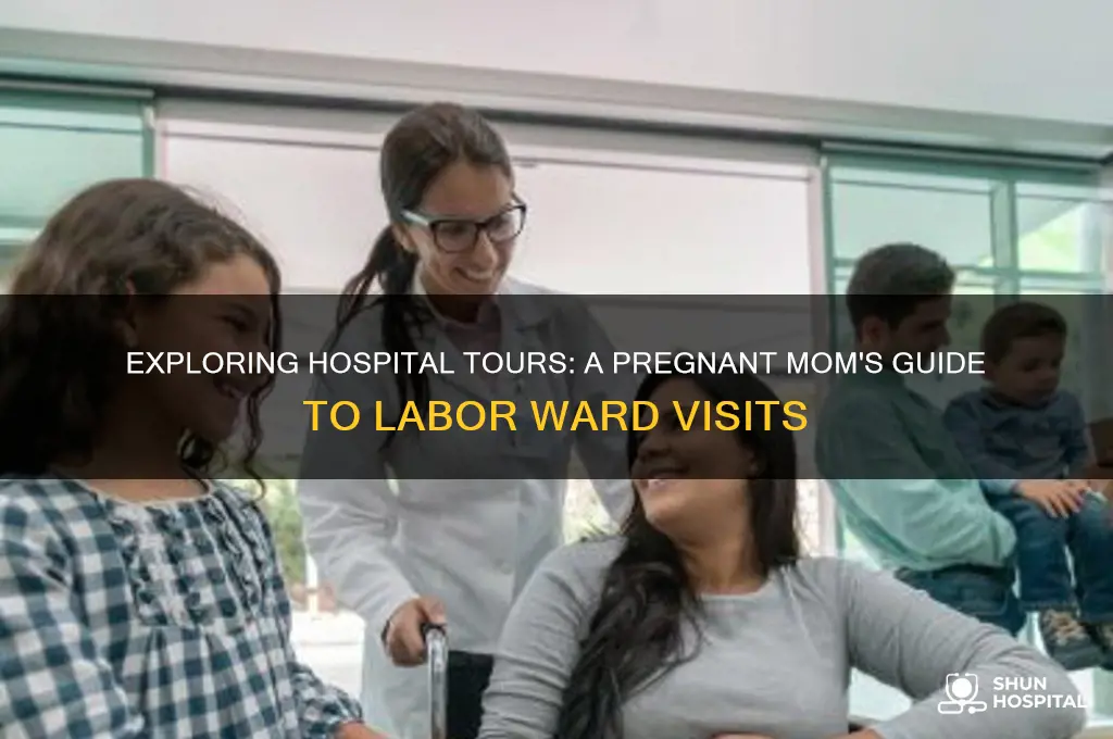 what do you do in hospital tours during pregnancy