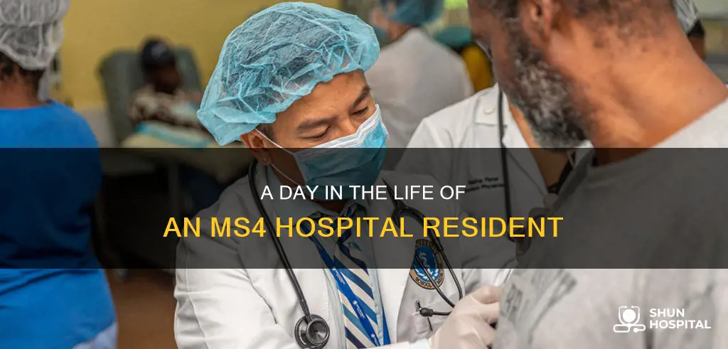 what do you do in ms4 hospital