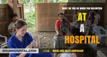 Volunteering at a Hospital: Roles, Impact, and How to Get Involved