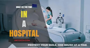 Hospital Essentials: A Comprehensive Overview