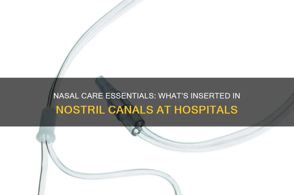 what do you put in nostril canals in the hospital