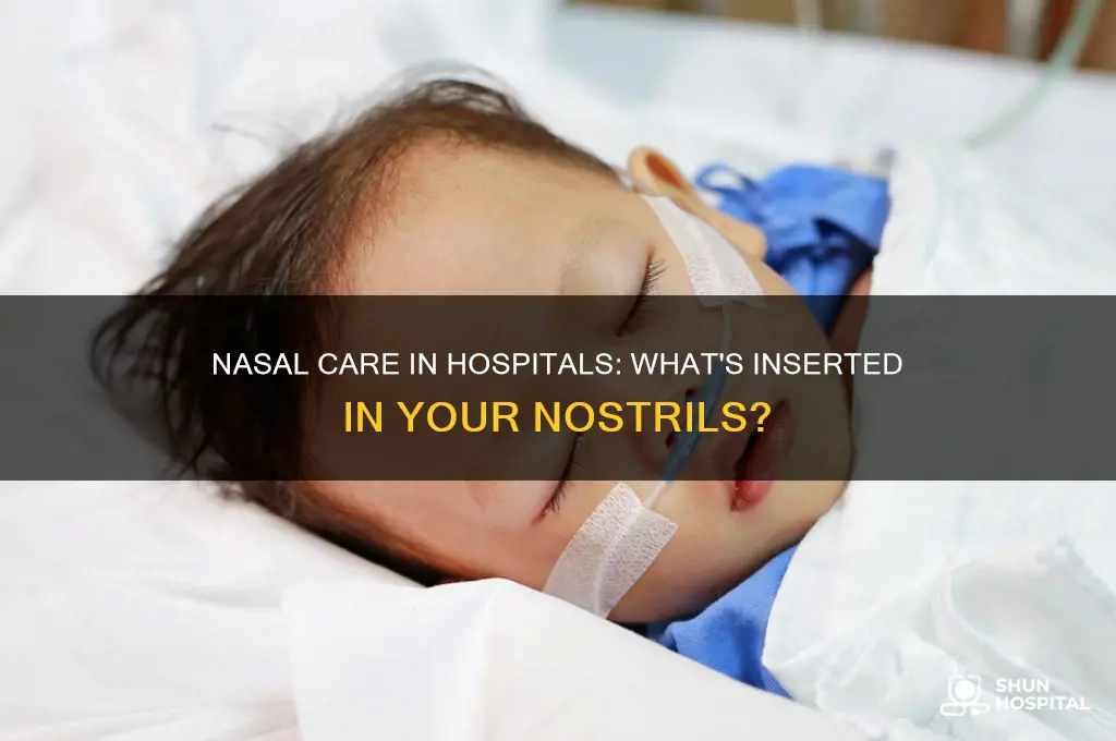 what do you put in nostrils in the hospital