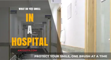 The Hospital Smell: A Unique Scent