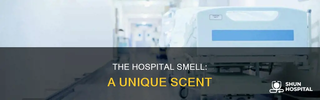 what do you smell in a hospital