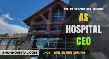 A Day in the Life: Priorities and Responsibilities of a Hospital CEO