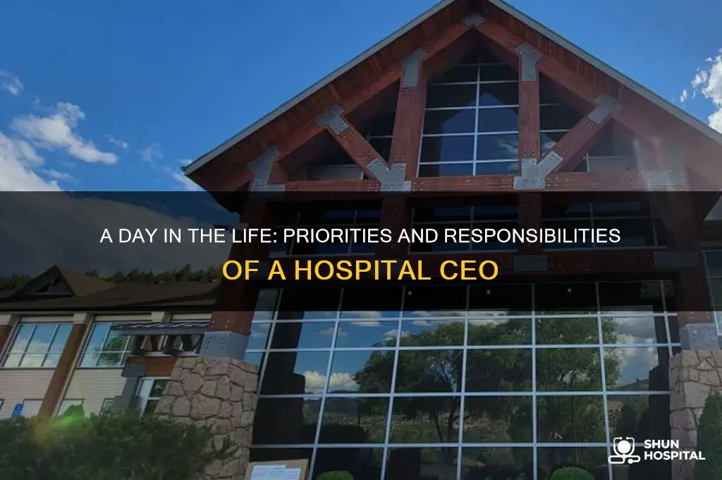 what do you spend your time doing as hospital ceo