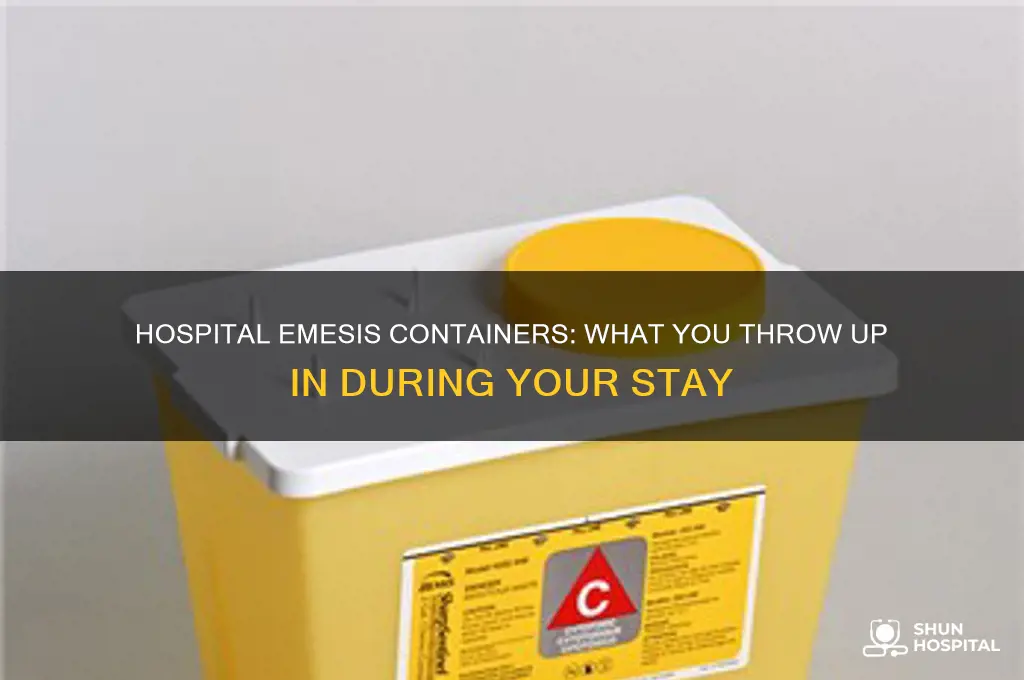 what do you throw up in at the hospital