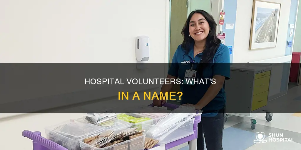 what do youcall volunteers in a hospital