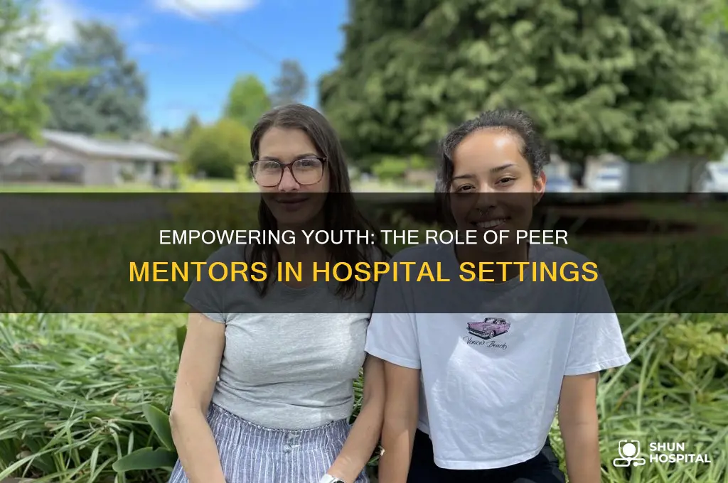 what do youth peer mentors do at a hospital