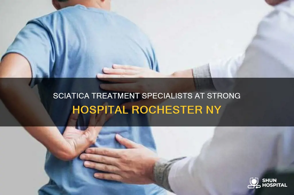 what doctor treats sciatica in strong hospital rochester ny