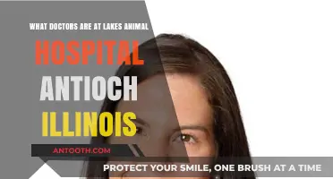 Meet the Dedicated Doctors at Lakes Animal Hospital in Antioch, Illinois