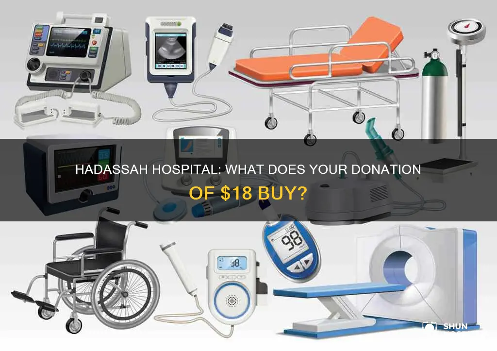 what does 18 buy at hadassah hospital