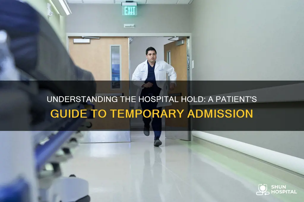 what does 24-48 hr hospital hold