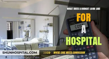 Understanding Hospital Budgets: A Detailed Look at Financial Planning