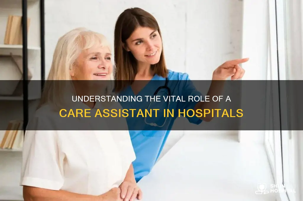 what does a care assistant do in a hospital