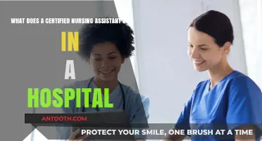 Certified Nursing Assistants: Essential Hospital Roles and Daily Responsibilities