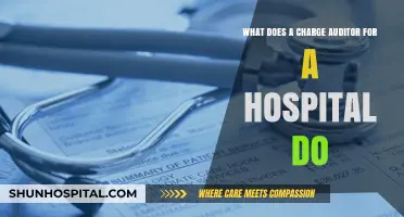 Understanding the Role of a Hospital Charge Auditor: Key Responsibilities Explained