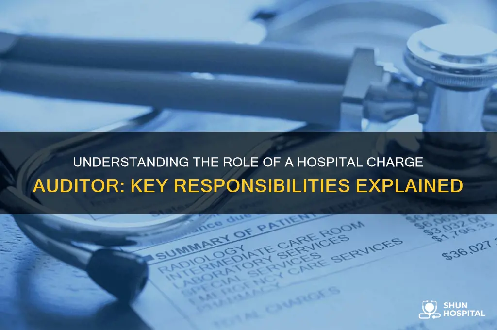 what does a charge auditor for a hospital do