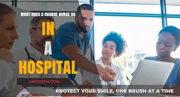 Charge Nurse Role: Leading Patient Care and Team Coordination in Hospitals