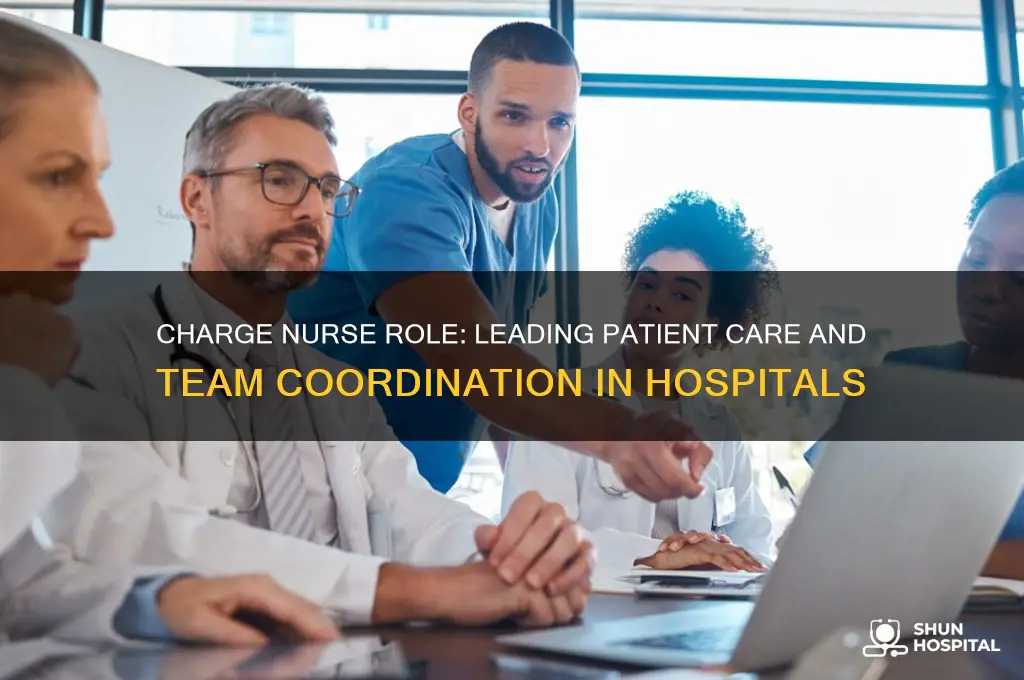 what does a charge nurse do in a hospital