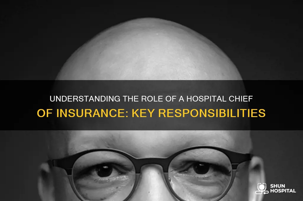 what does a cheif of insyrance at a hospital fo