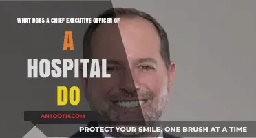 Hospital CEO Responsibilities: Leading Healthcare Operations and Strategic Vision