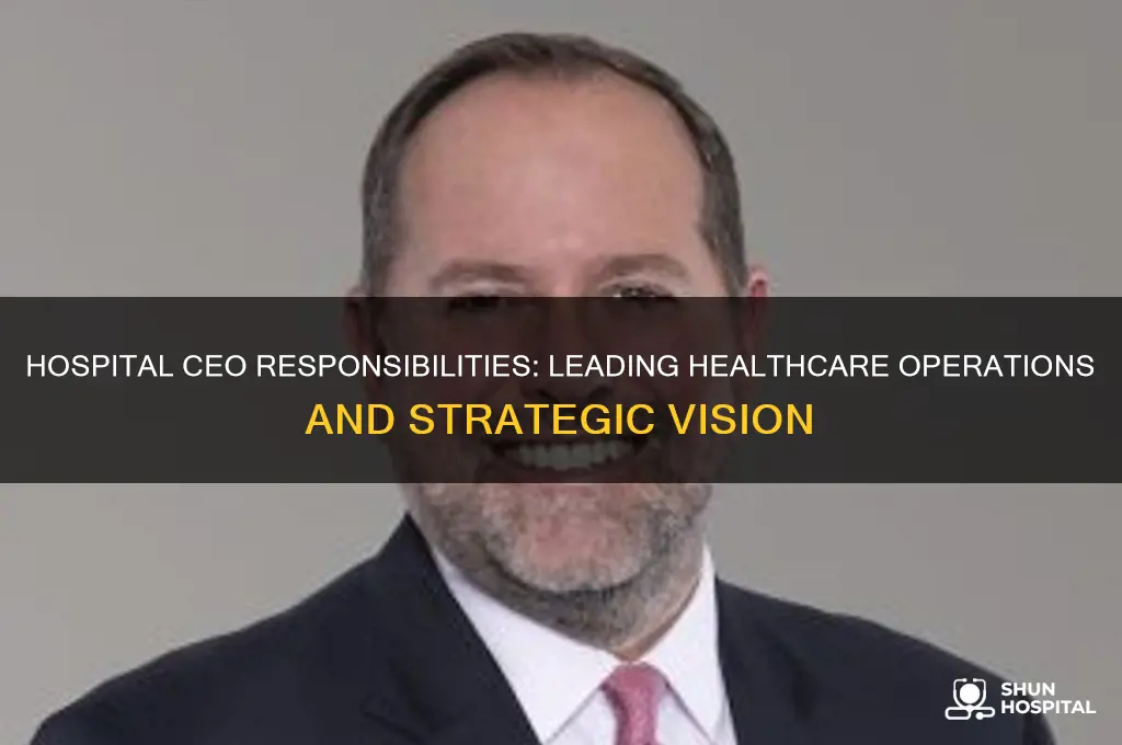 what does a chief executive officer of a hospital do