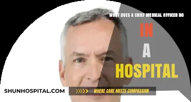 Chief Medical Officer Role: Leading Clinical Excellence in Hospitals