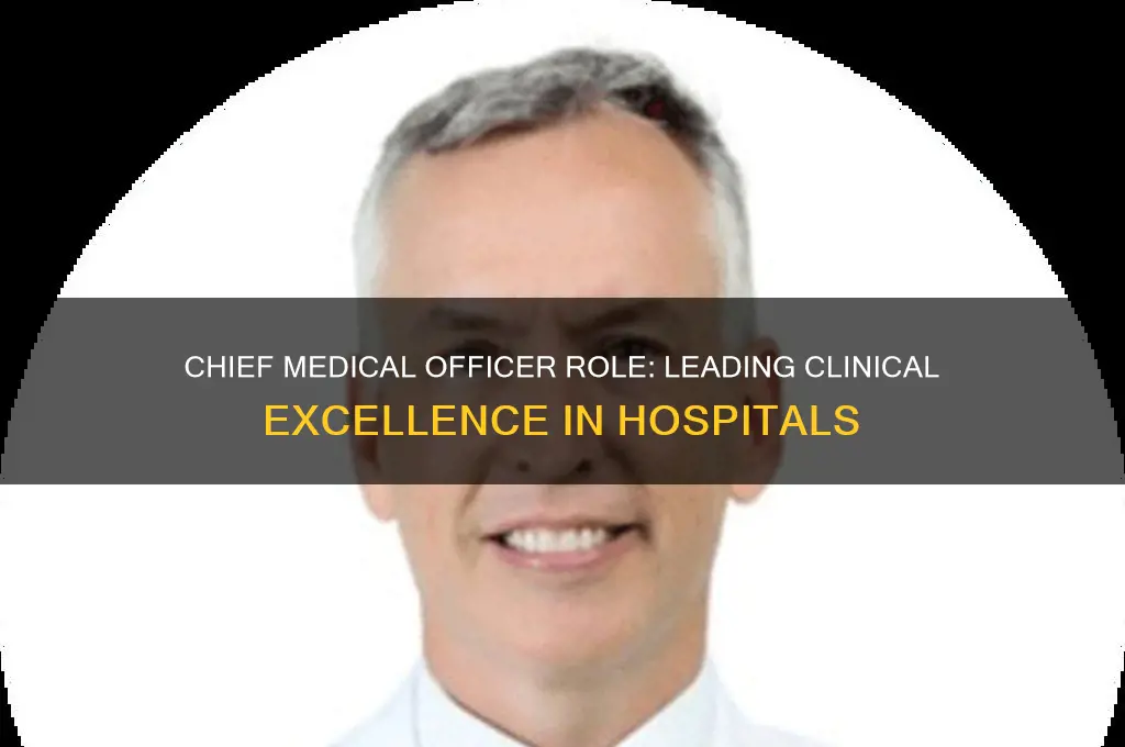 what does a chief medical officer do in a hospital