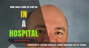 Understanding the Role of a Hospital Chief of Staff