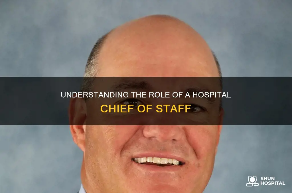 what does a chief of staff do in a hospital
