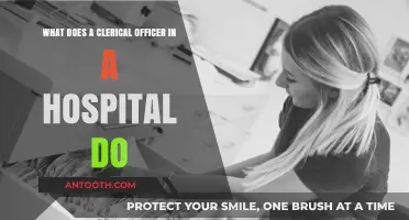Understanding the Role of a Clerical Officer in Hospital Administration