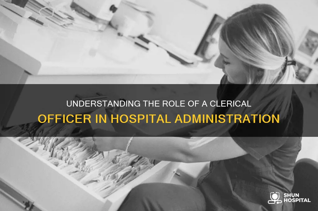what does a clerical officer in a hospital do