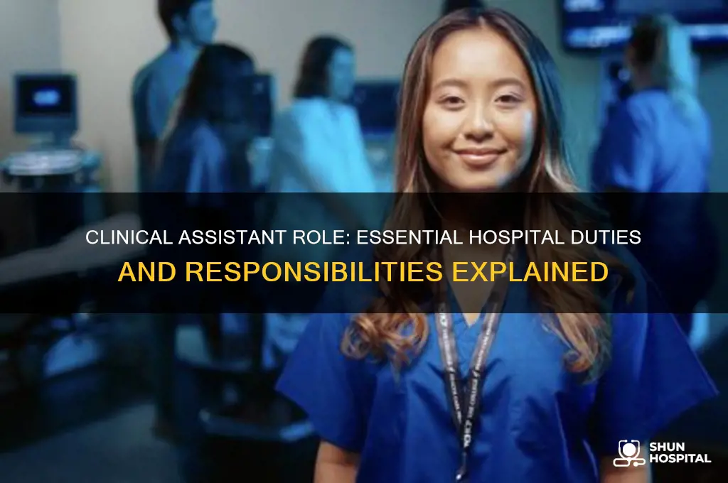 what does a clinical assistant do in a hospital