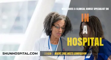 Clinical Nurse Specialist Role: Expert Care and Leadership in Hospitals