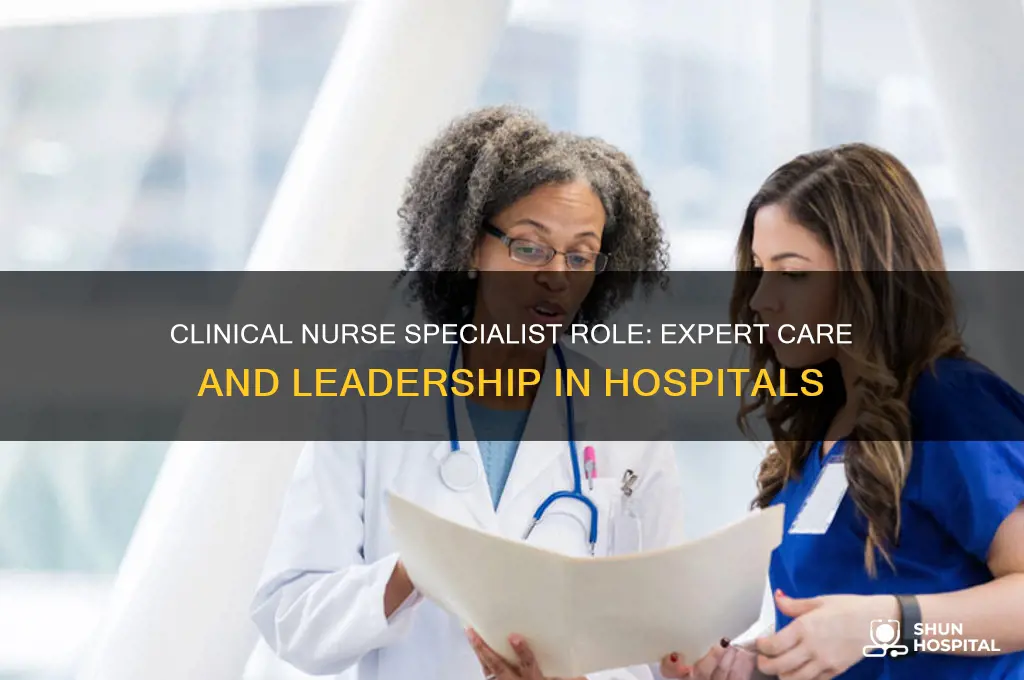 what does a clinical nurse specialist do in a hospital