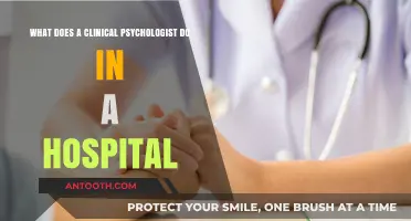 Clinical Psychologists in Hospitals: Roles, Responsibilities, and Patient Care