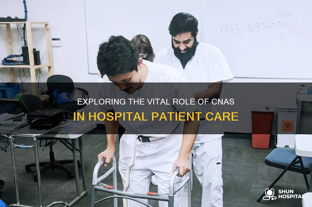 what does a cna do in a hospital setting articles