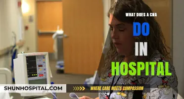A Day in the Life of a Hospital CNA