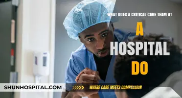 Critical Care Teams: Essential Roles and Responsibilities in Hospital Settings