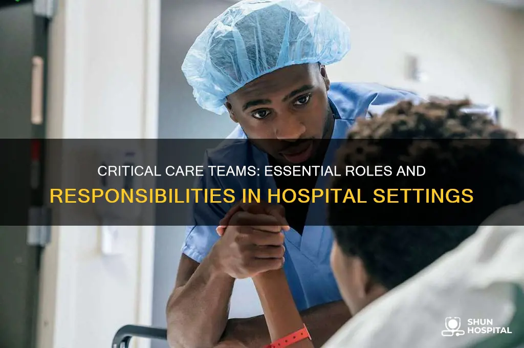 what does a critical care team at a hospital do