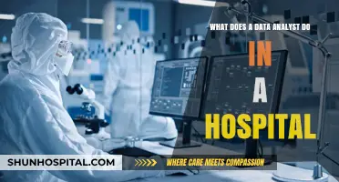 Unveiling the Role of a Data Analyst in Hospital Healthcare Operations