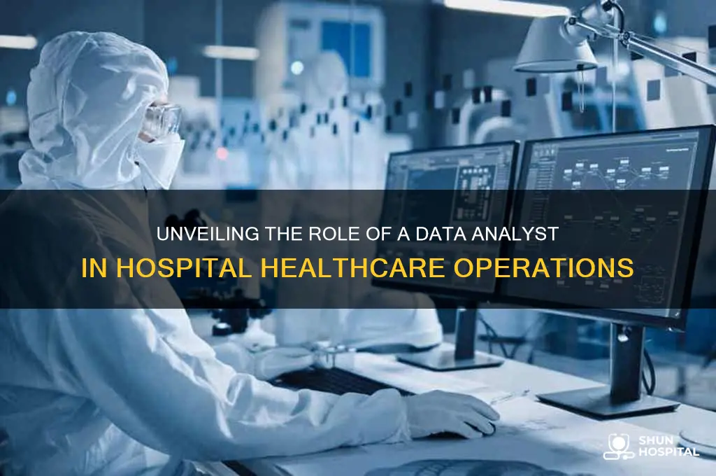 what does a data analyst do in a hospital