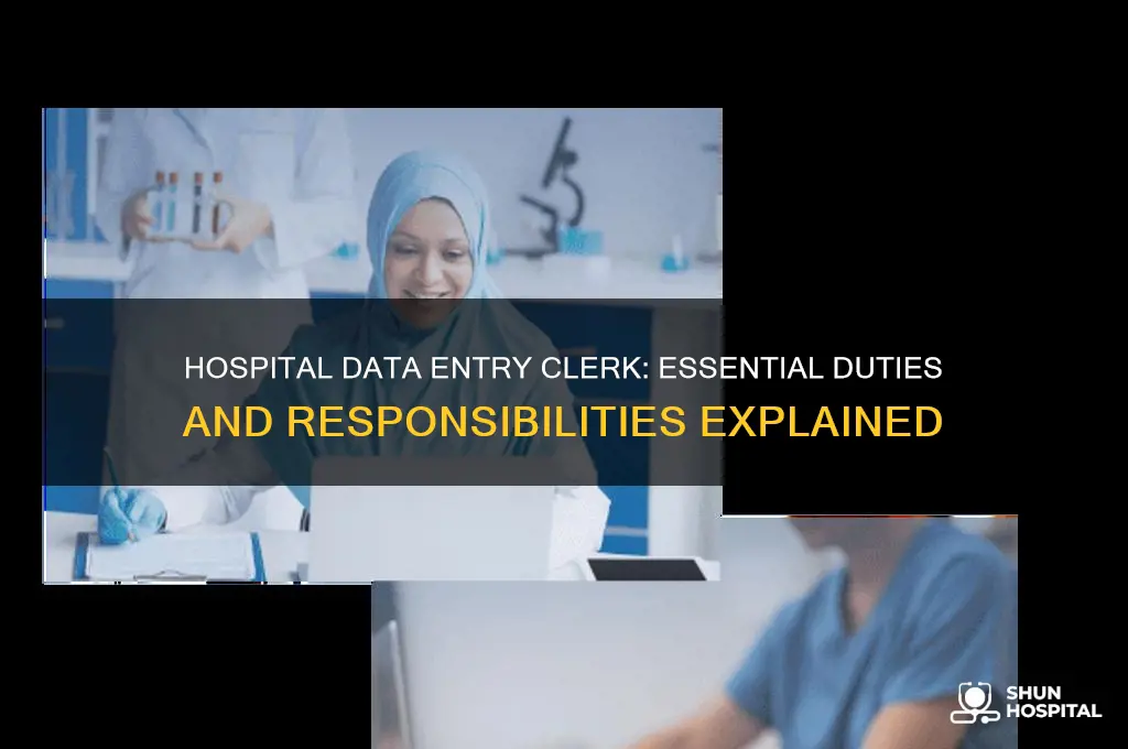 what does a data entry clerk do at a hospital