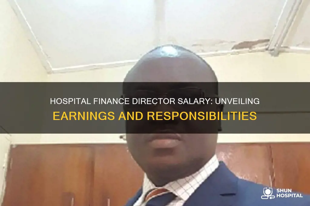 what does a director of finance at a hospital make