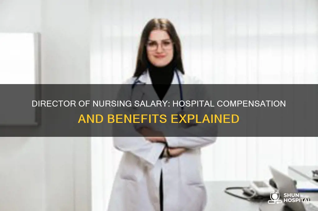 what does a director of nursing at a hospital make