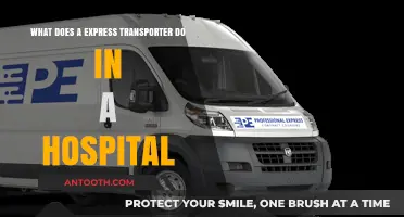 Express Transporters in Hospitals: Essential Roles and Responsibilities Explained