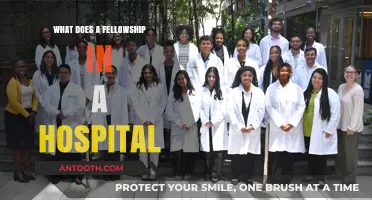 Fellowships: Hospital-Based Learning Opportunities for Doctors
