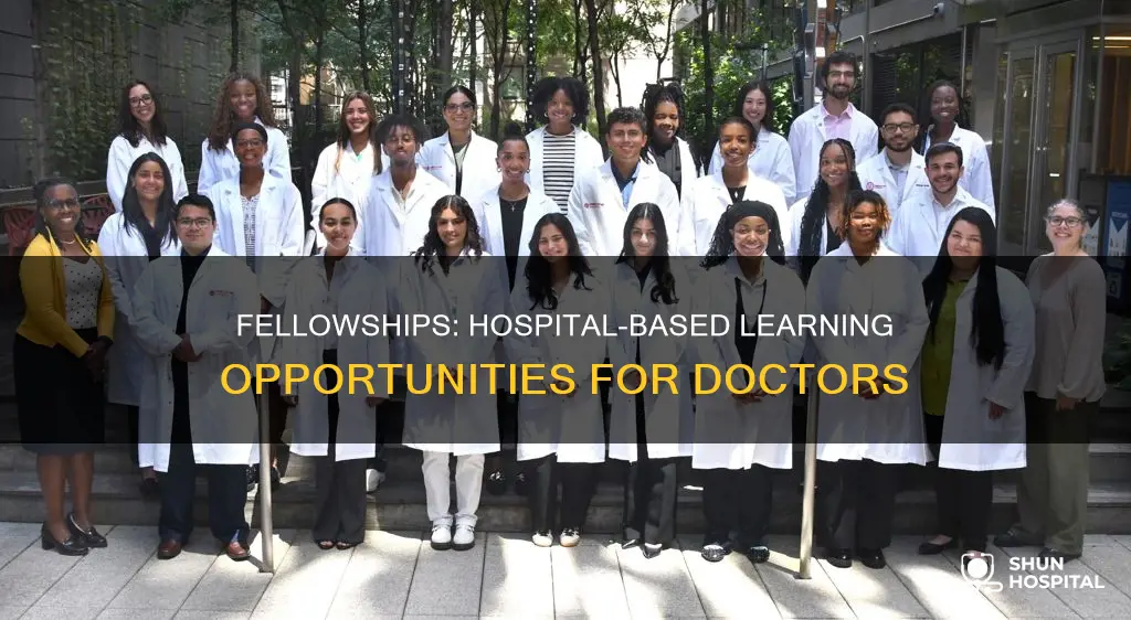 what does a fellowship in a hospital