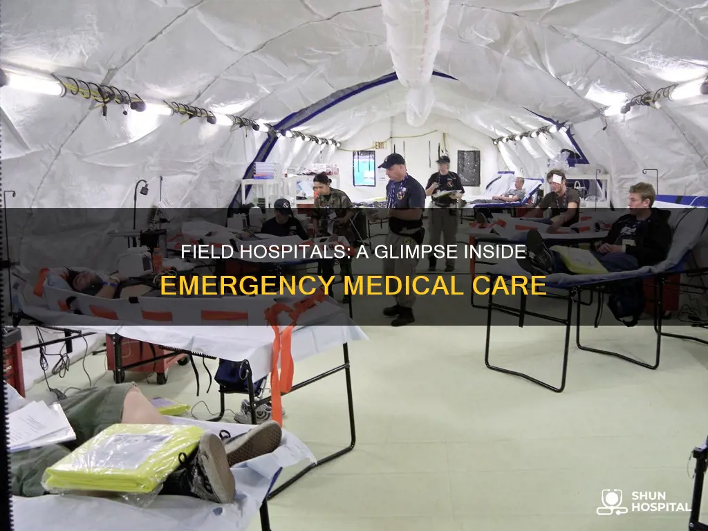 what does a field hospital look like